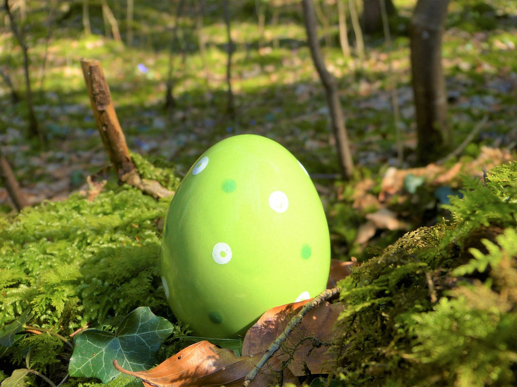 Perché la gallina fa le uova verdi?