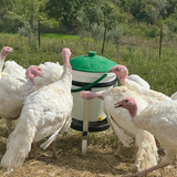 Abbeveratoio a secchio 17lt - RIVUS