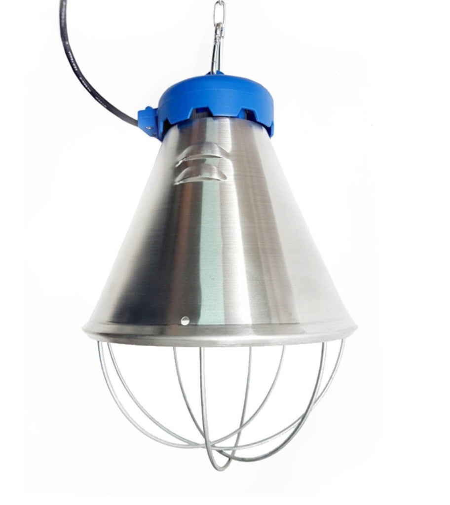 Motisi Zootecnici - Riflettore Riscaldamento Pulcini 150W + Abbeveratoio, Per Allevamento - Foto 14