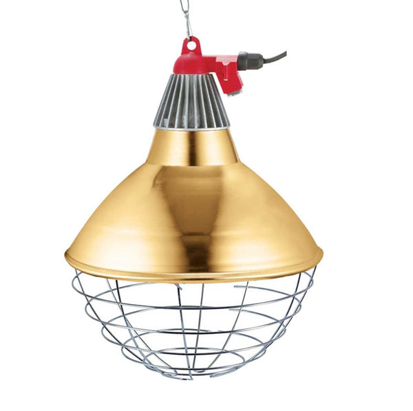 Motisi Zootecnici - Riflettore Riscaldamento Pulcini 150W + Abbeveratoio, Per Allevamento - Foto 10